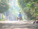 Morgens auf dem Weg zum Markt in Vientiane